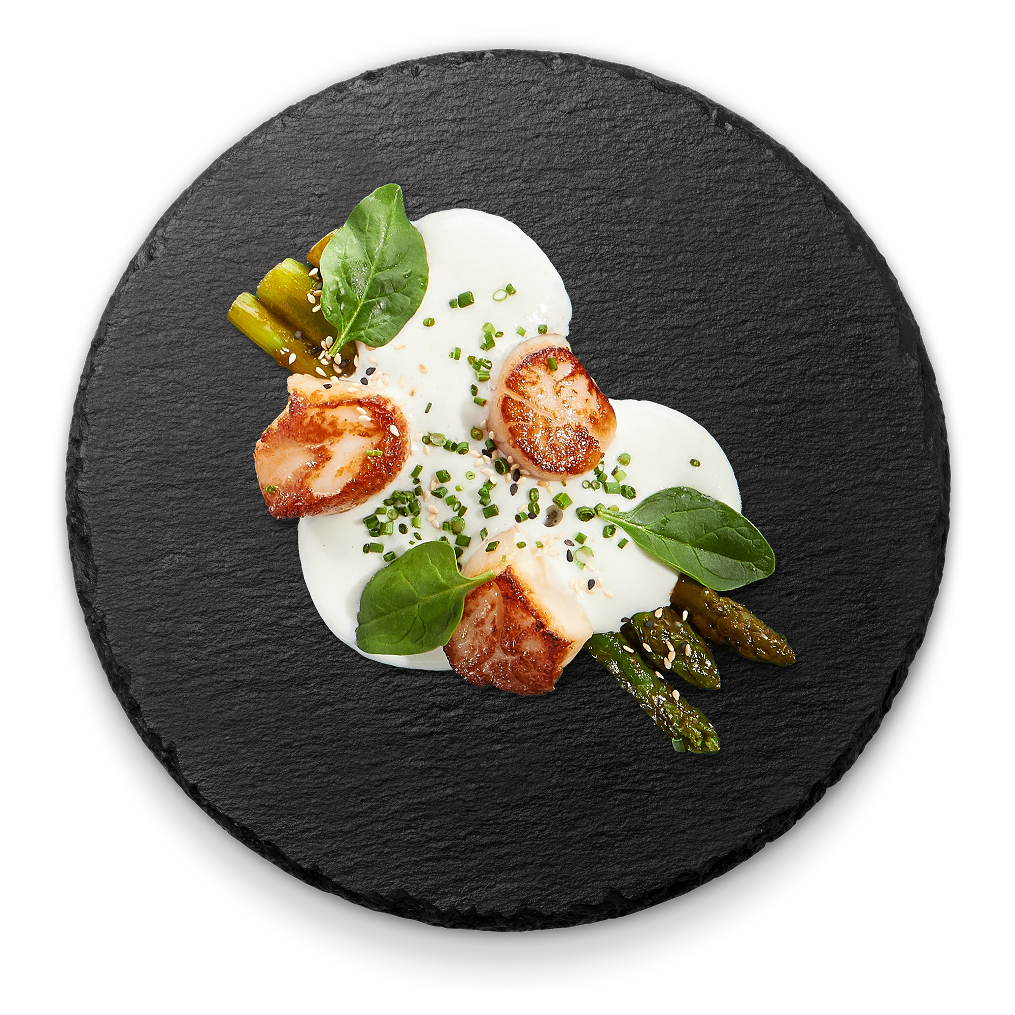 Jakobsmuscheln 10 Stück